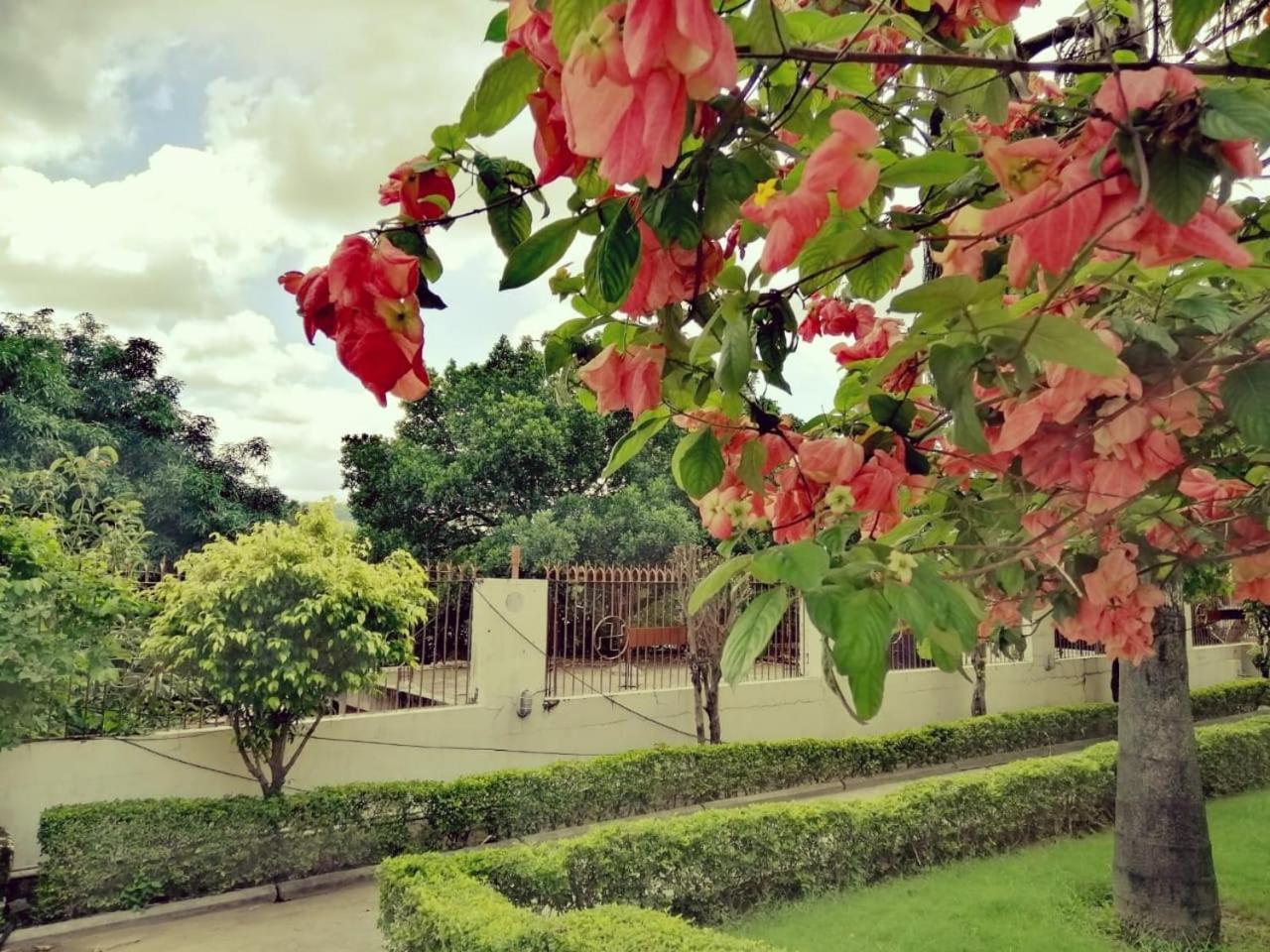 Ganga Vatika Boutique Hotel, ริชิเคช ภายนอก รูปภาพ